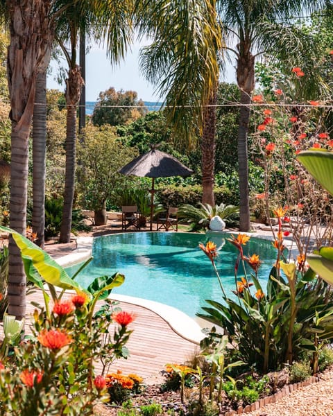 Garden, Pool view, Swimming pool