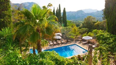 Garden, Pool view, Swimming pool