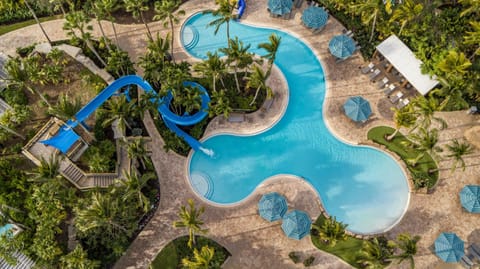 Hyatt Regency Coconut Point Resort & Spa Near Naples Resort in Estero
