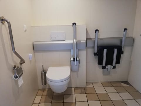 Toilet, Bathroom, Facility for disabled guests