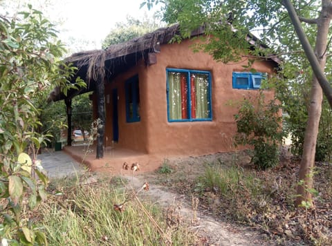 Property building, Garden, Garden view