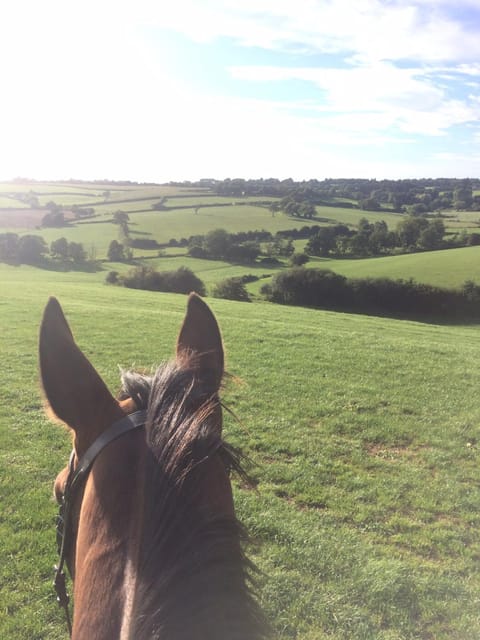 Church Farm Bed and Breakfast in North Dorset District