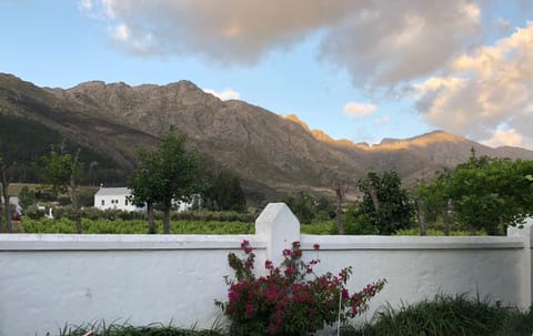 Gooding's Olive Villa Villa in Western Cape