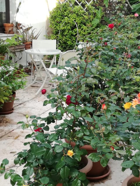 B&B LE ORTENSIE Bed and Breakfast in Treviso