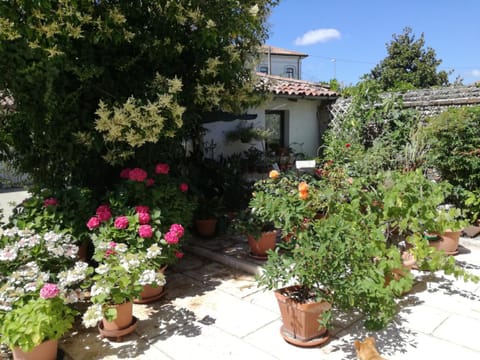 B&B LE ORTENSIE Bed and Breakfast in Treviso