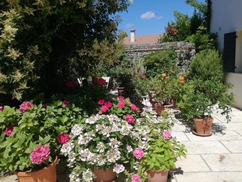 B&B LE ORTENSIE Bed and Breakfast in Treviso