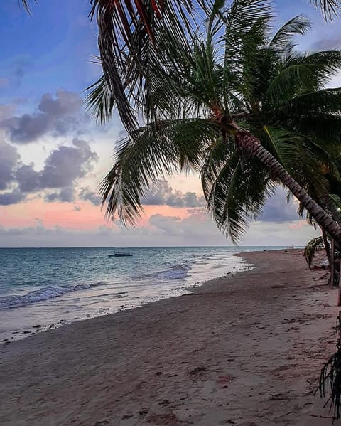 Nearby landmark, Day, Beach, Sunset