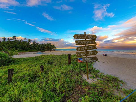 Day, Natural landscape, Beach