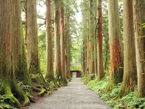 Nearby landmark, Natural landscape