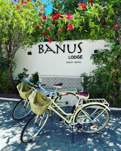 Banus Lodge Apartment in Marbella