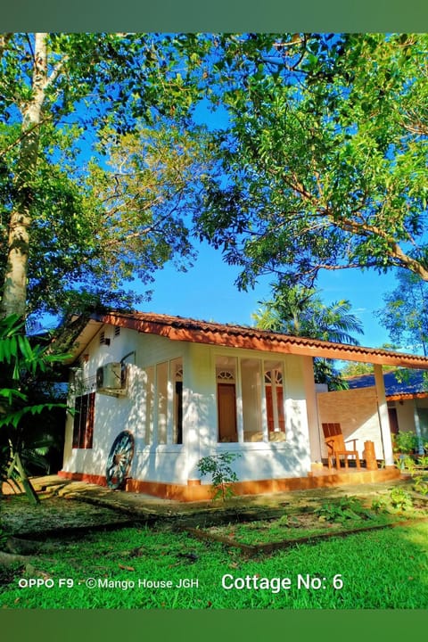 Mango House Japanese Guest House Alojamiento y desayuno in Negombo