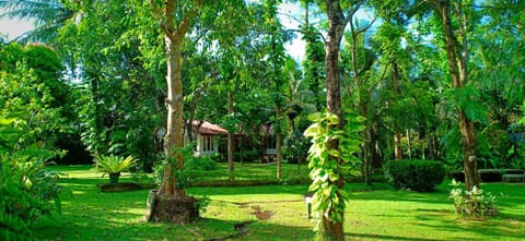 Garden, Garden view