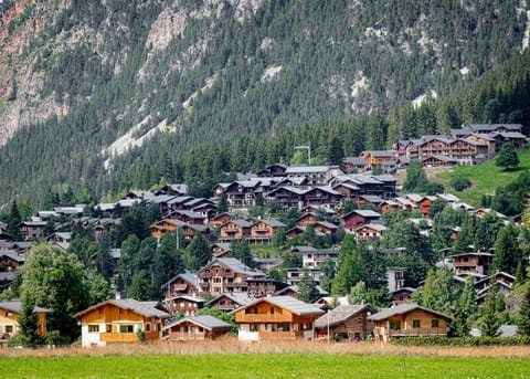 Hotel L'Edelweiss Hotel in Pralognan-la-Vanoise