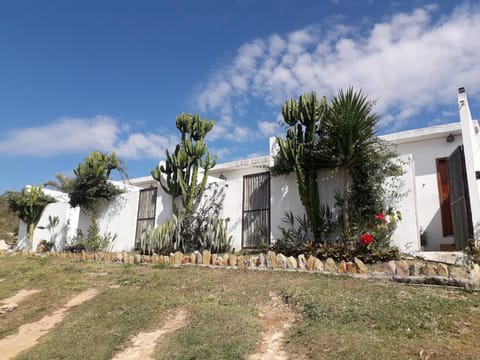 Property building, Garden, Garden view