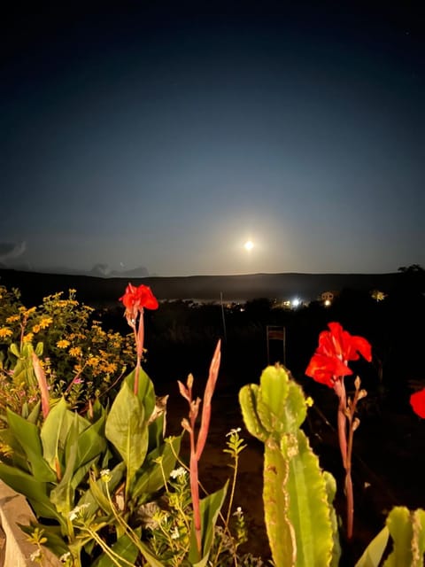 View (from property/room), Garden view