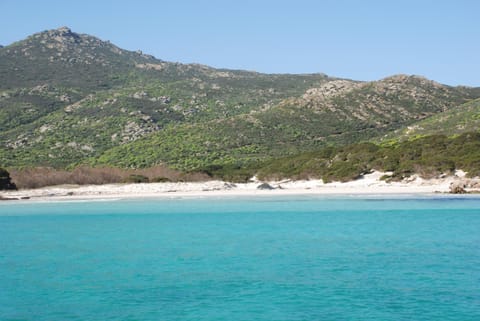 Natural landscape, Beach