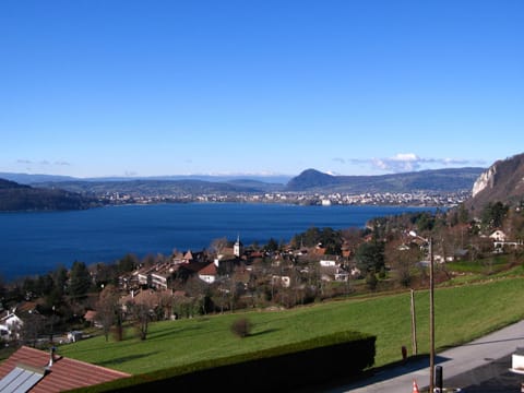 Le Clos Du Lac - location de chambres Chambre d’hôte in Menthon-Saint-Bernard