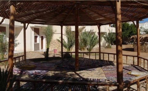 Jowhara Hotel Hostel in South Sinai Governorate