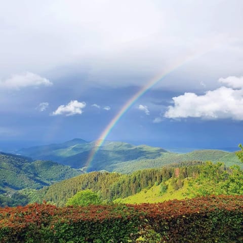 Nearby landmark, Natural landscape, Hiking