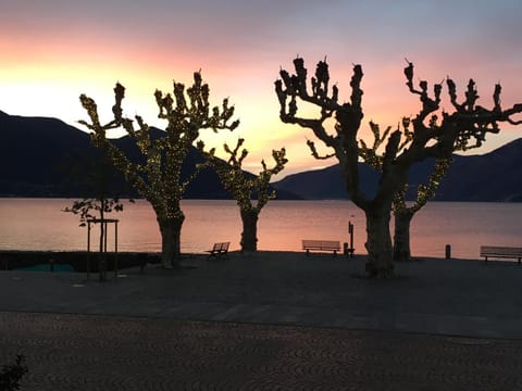 Albergo Carcani by Ketty & Tommy Hotel in Ascona