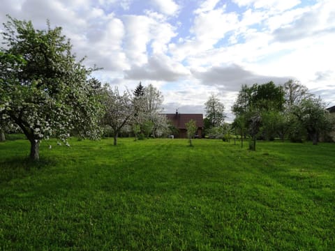 Property building, Garden