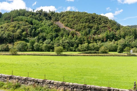 Natural landscape, Mountain view, Street view