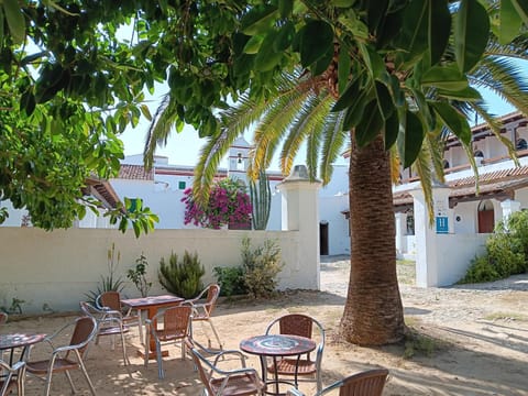 Property building, Day, Garden, Garden view, Breakfast