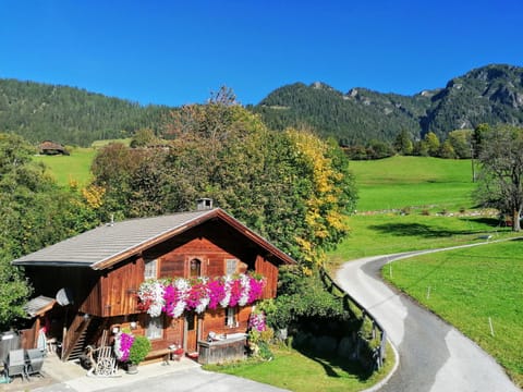 Wörglerhof's Hüttenapartments mit Kachelofen Farm Stay in Alpbach
