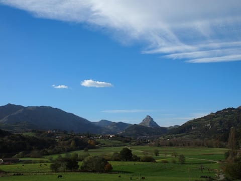 Vivienda Vacacional La Escribana - Casas de los Picos Casa in Cantabria
