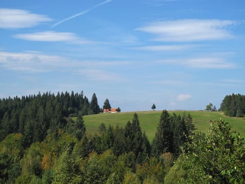 Nearby landmark, Natural landscape, Horse-riding, Hiking