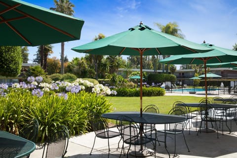 Ramada by Wyndham Sunnyvale/Silicon Valley Motel in Santa Clara