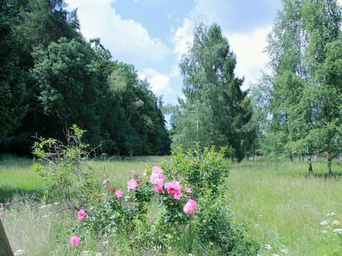 Natural landscape, Garden