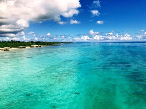 Natural landscape, Beach