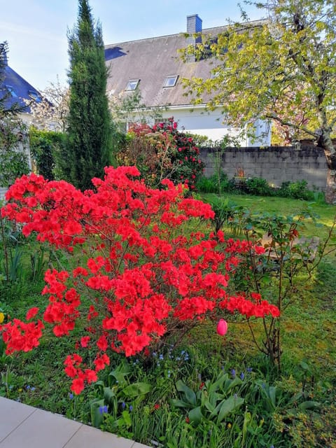 Chantilly Urlaubsunterkunft in Saint-Herblain