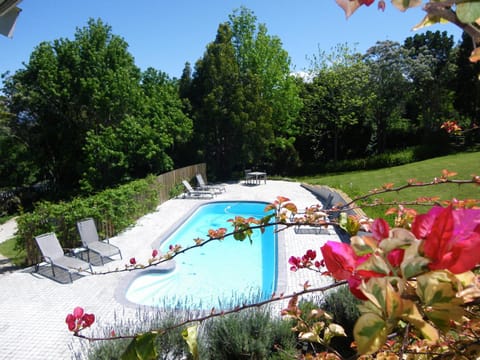 Garden, Swimming pool, Swimming pool