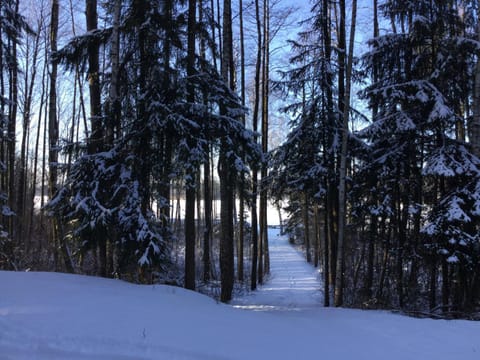 Day, Neighbourhood, Natural landscape, Winter, Beach, Beach, Hiking, Lake view