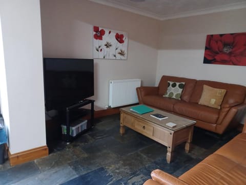 Dunroaming Cottage House in Wales