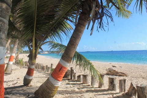 Nearby landmark, Day, Natural landscape, Beach, Sea view