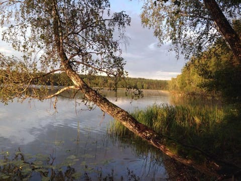 Beach, Lake view