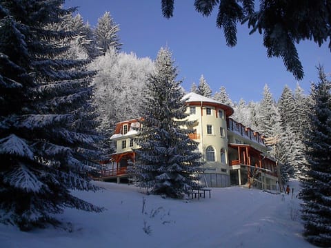 Property building, Natural landscape, Winter