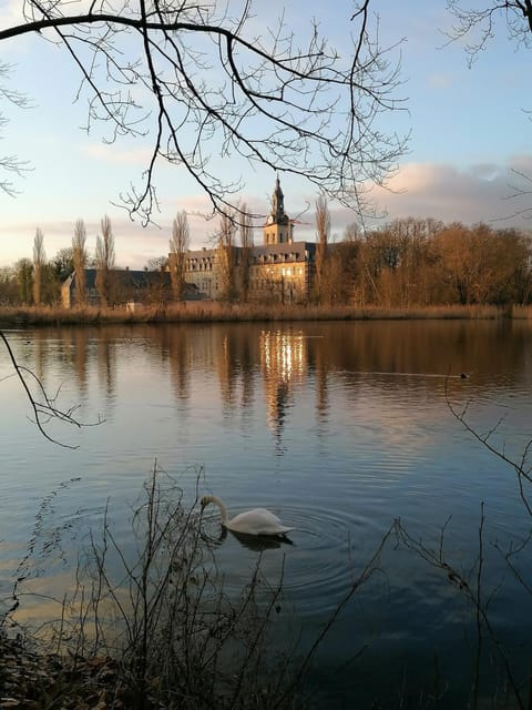 Neighbourhood, Natural landscape, Lake view