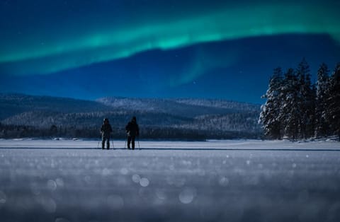 Night, Natural landscape, Winter