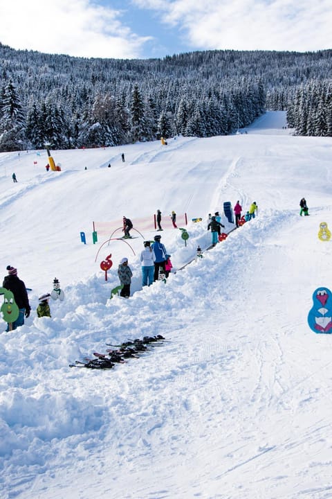 Ski School, Skiing, Skiing