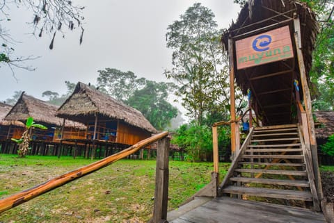 Amazon Muyuna Lodge - All Inclusive Nature lodge in State of Amazonas