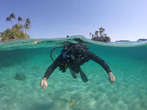 Pousada Aquamaster Dive Center Albergue natural in Angra dos Reis
