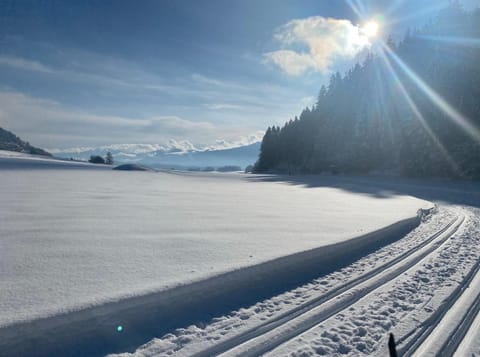 Nearby landmark, Winter