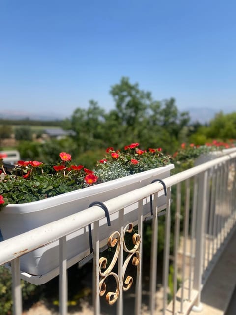 The Roof Apartment in North District