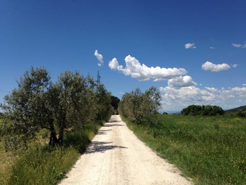 Podere Ianni Country House in San Casciano Val Pesa