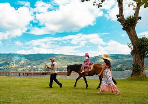 Children play ground, Garden, Horse-riding, Area and facilities, Family