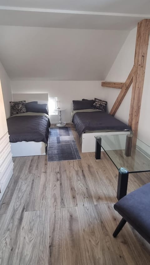 Big House Apartment in Canton of Grisons